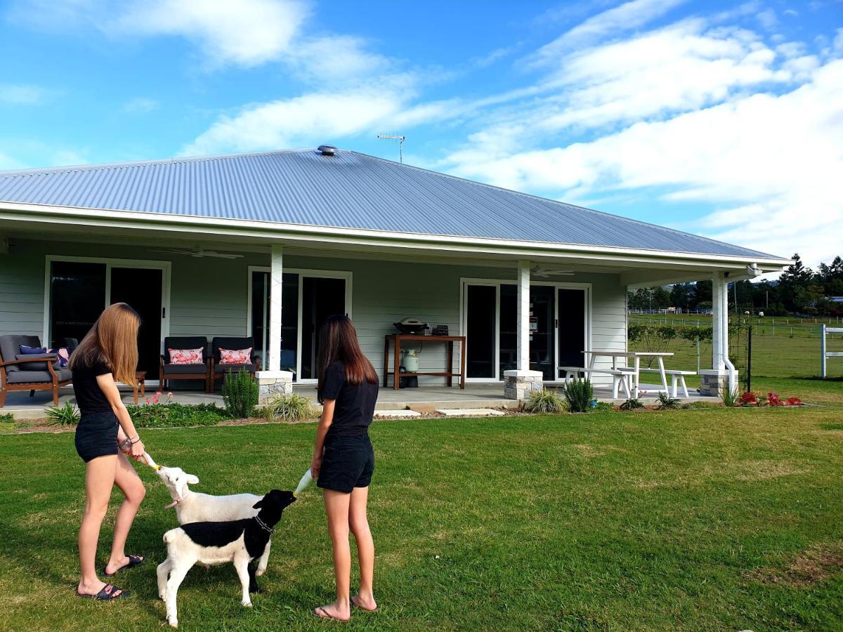 Fig Tree Farm B&B Highvale-Farmstay Near Brisbane! Dış mekan fotoğraf