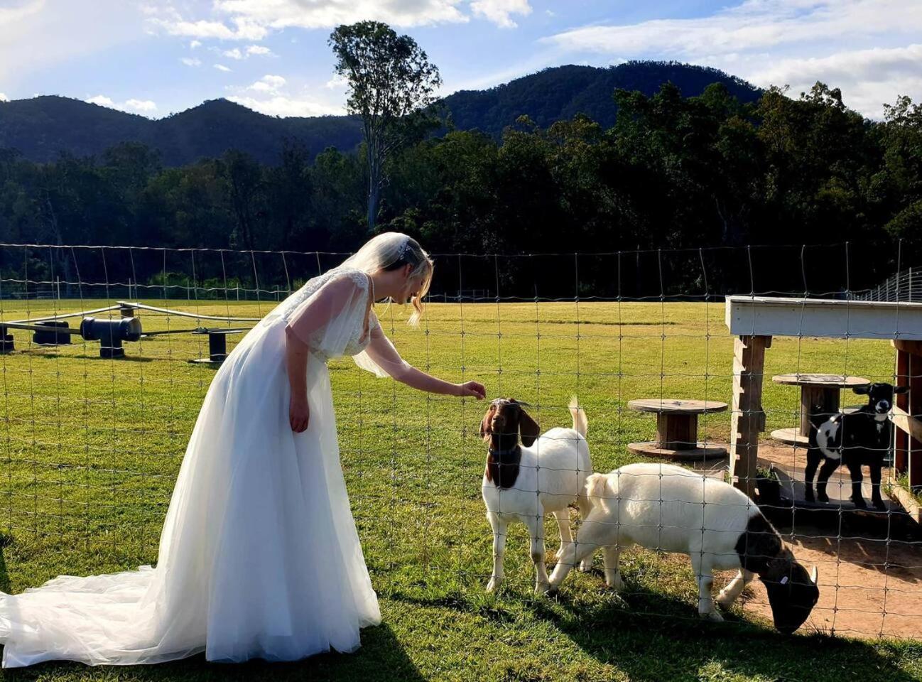 Fig Tree Farm B&B Highvale-Farmstay Near Brisbane! Dış mekan fotoğraf
