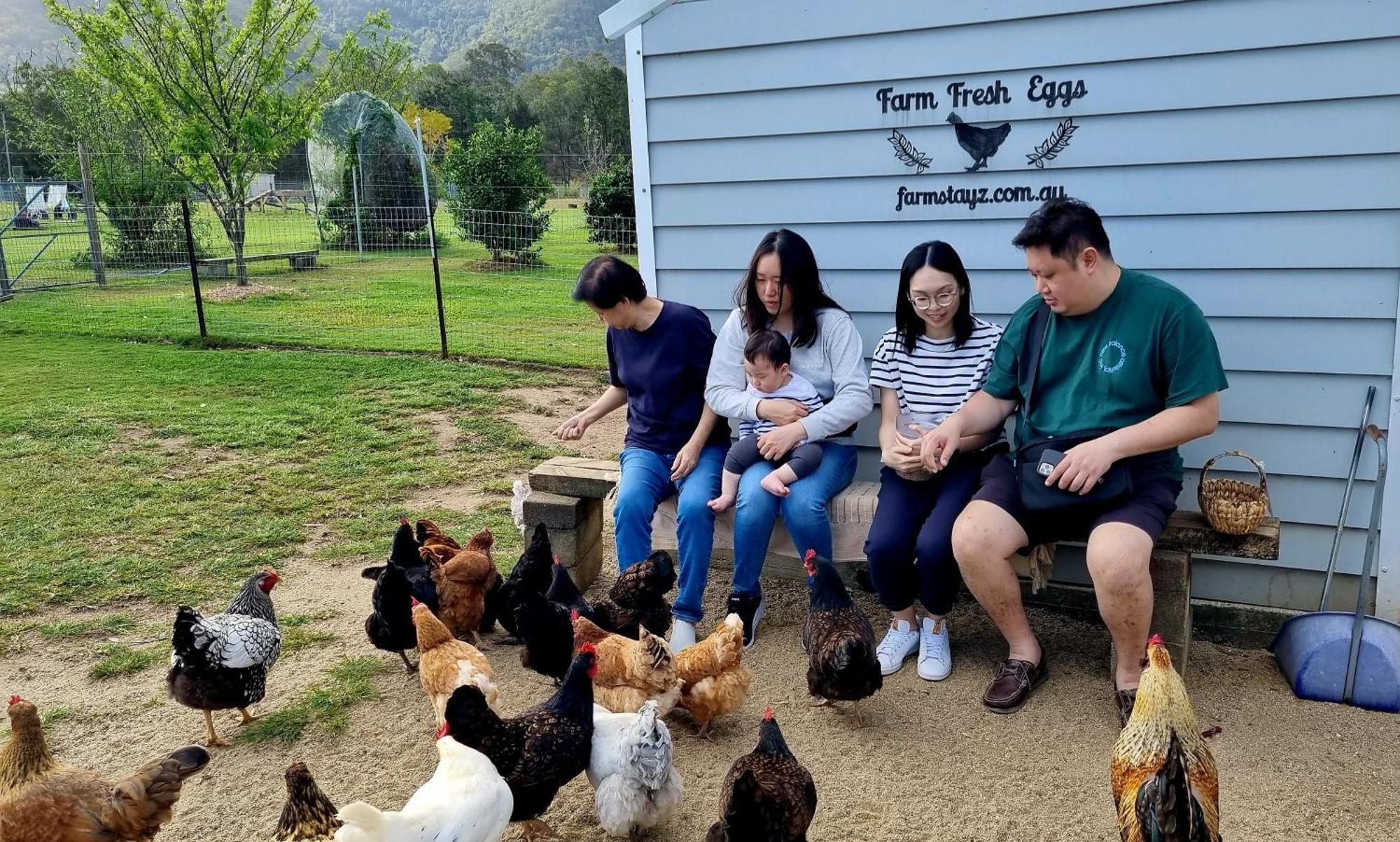 Fig Tree Farm B&B Highvale-Farmstay Near Brisbane! Dış mekan fotoğraf